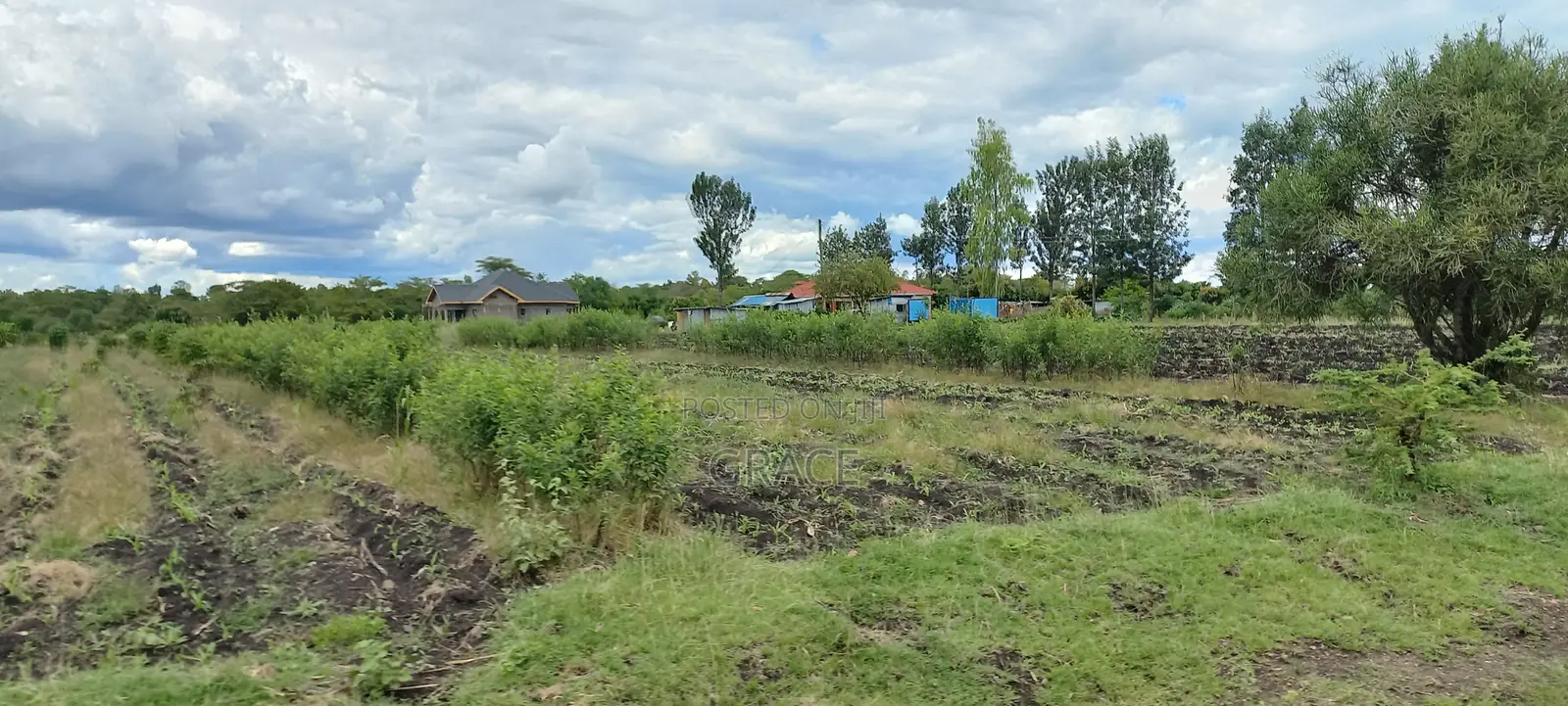 Prime 50x100 Plots in Mwea Karaba – Pay in 12 Months