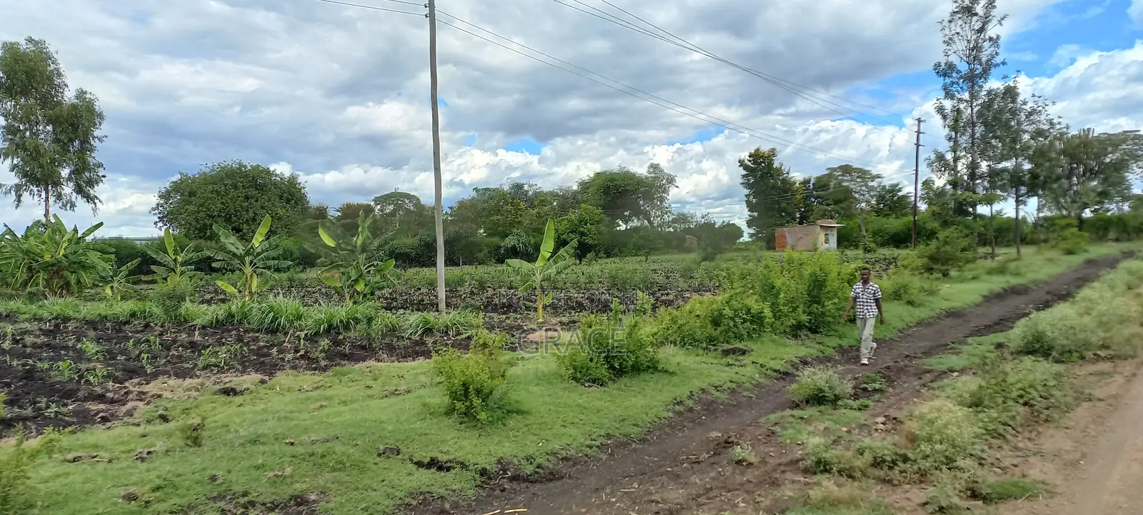 Prime 50x100 Plots in Mwea Karaba – Pay in 12 Months