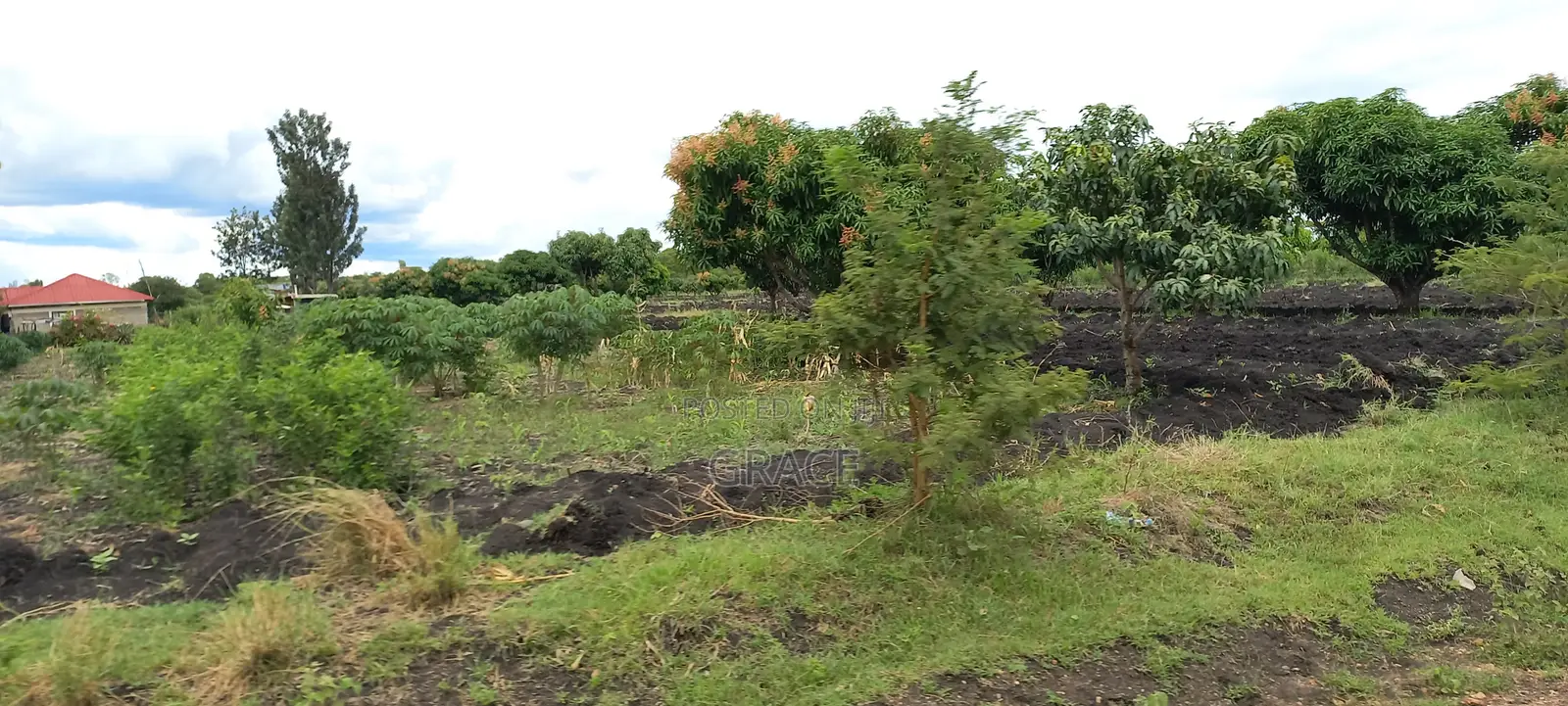 Prime 50x100 Plots in Mwea Karaba – Pay in 12 Months
