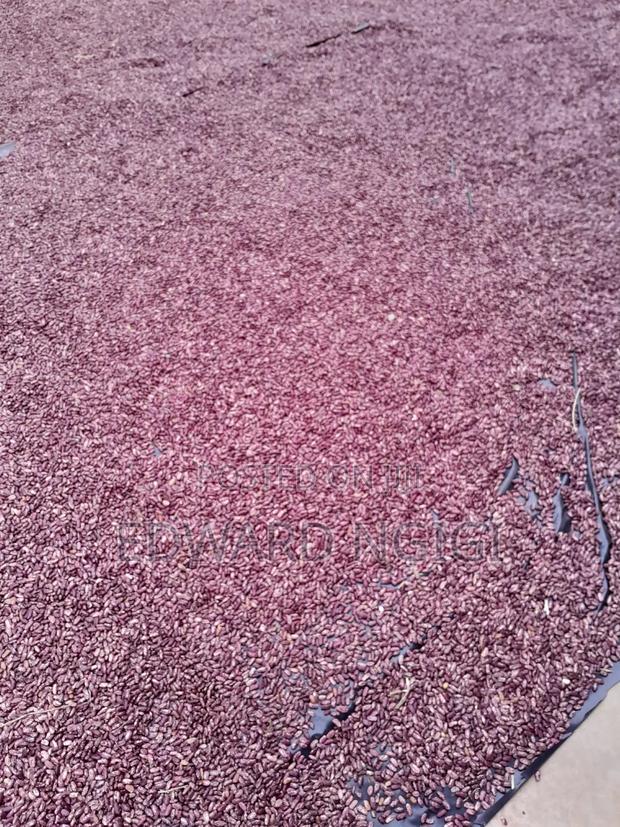 Nyayo Beans - main view