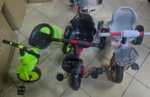 Tricycle Bicycle - main view