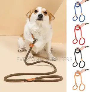 Slip Rope Dog Leash 1.8m