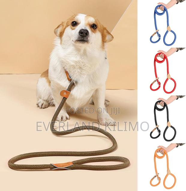 Slip Rope Dog Leash 1.8m - main view