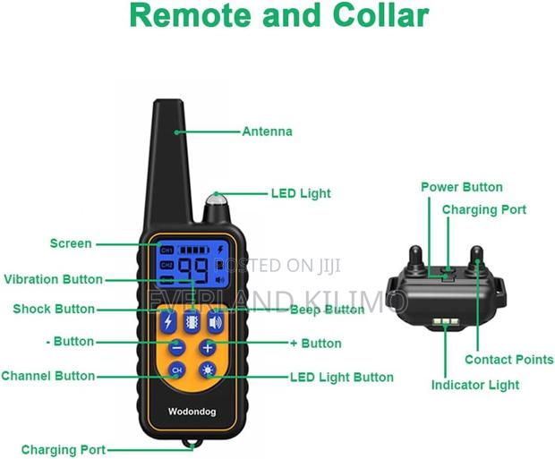 Waterproof E Collar With Beep - main view