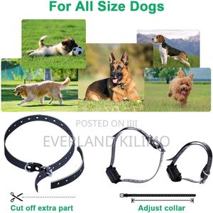 Rechargeable Electric Training Collar - thumbnail 2