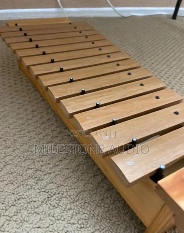 Musicube Xylophone For Kids Educational Wood Xylophone