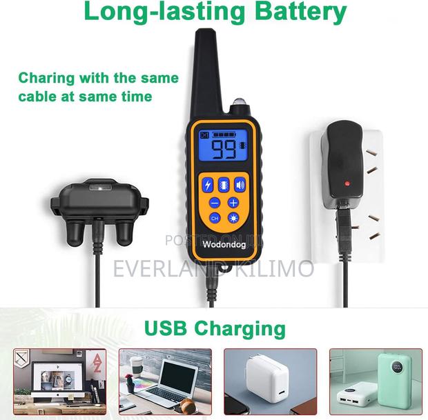 Shock Training Collars For Dogs - main view