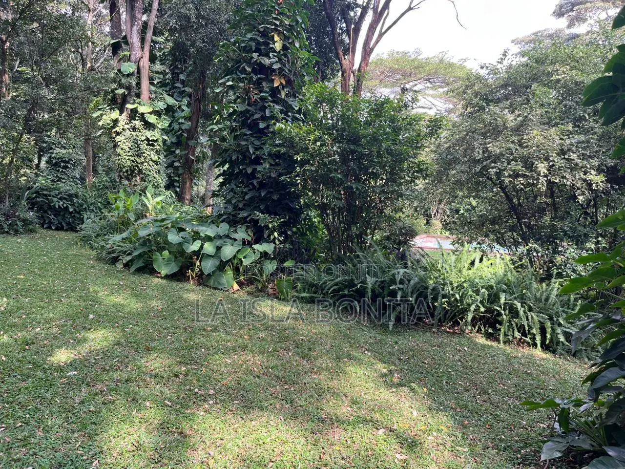 7 Acres for Sale Along Kiambu Road - Njathaini Estate