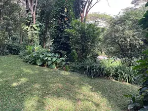 7 Acres for Sale Along Kiambu Road - Njathaini Estate