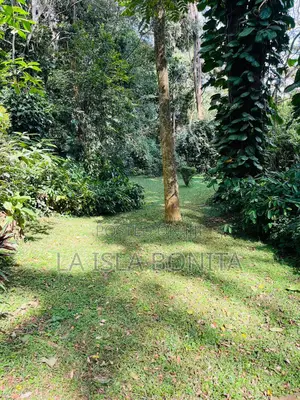 7 Acres for Sale Along Kiambu Road - Njathaini Estate
