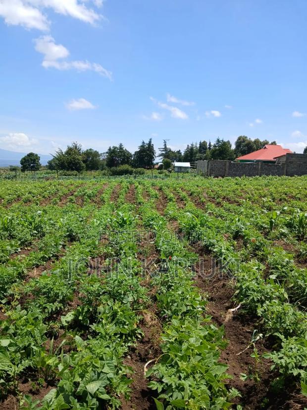 3 Acres of Land in Naivasha Karai With View of Lake Naivasha - thumbnail 2
