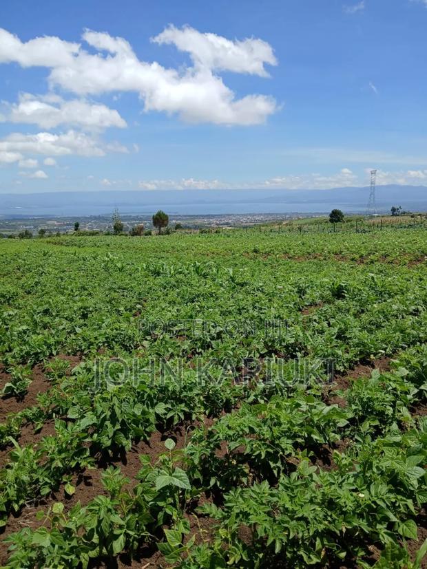 3 Acres of Land in Naivasha Karai With View of Lake Naivasha - thumbnail 3