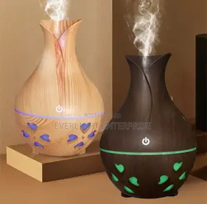 Small Case Humidifier