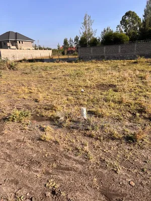 4 Residential Plots for Sale in Katani – Separate Titles