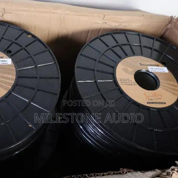 Soundking Gb106/100m 2.5mm Speaker Cables