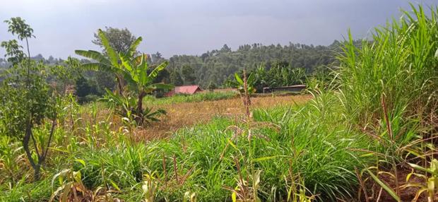 Prime Half Acre Ndenderu Plots on Sale - thumbnail 3