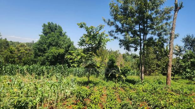 100 by 100 in Gatundu Town - main view