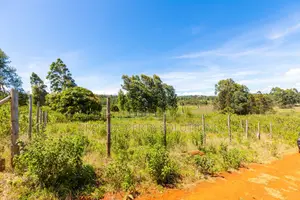 Prime Residential Plot for Sale in Kikuyu, Ng'amba