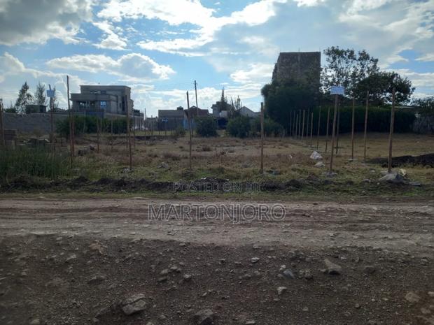 Thika 50by 100 ( Kigajo Estate) - thumbnail 2