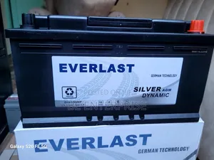 Everlast Din 100/100ah Automotive Battery