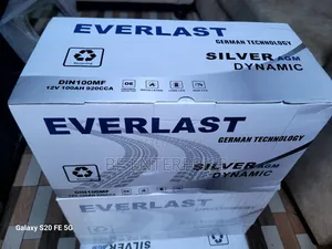 Everlast Din 100/100ah Automotive Battery