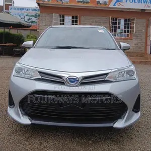 Toyota Corolla Fielder 2019 Silver