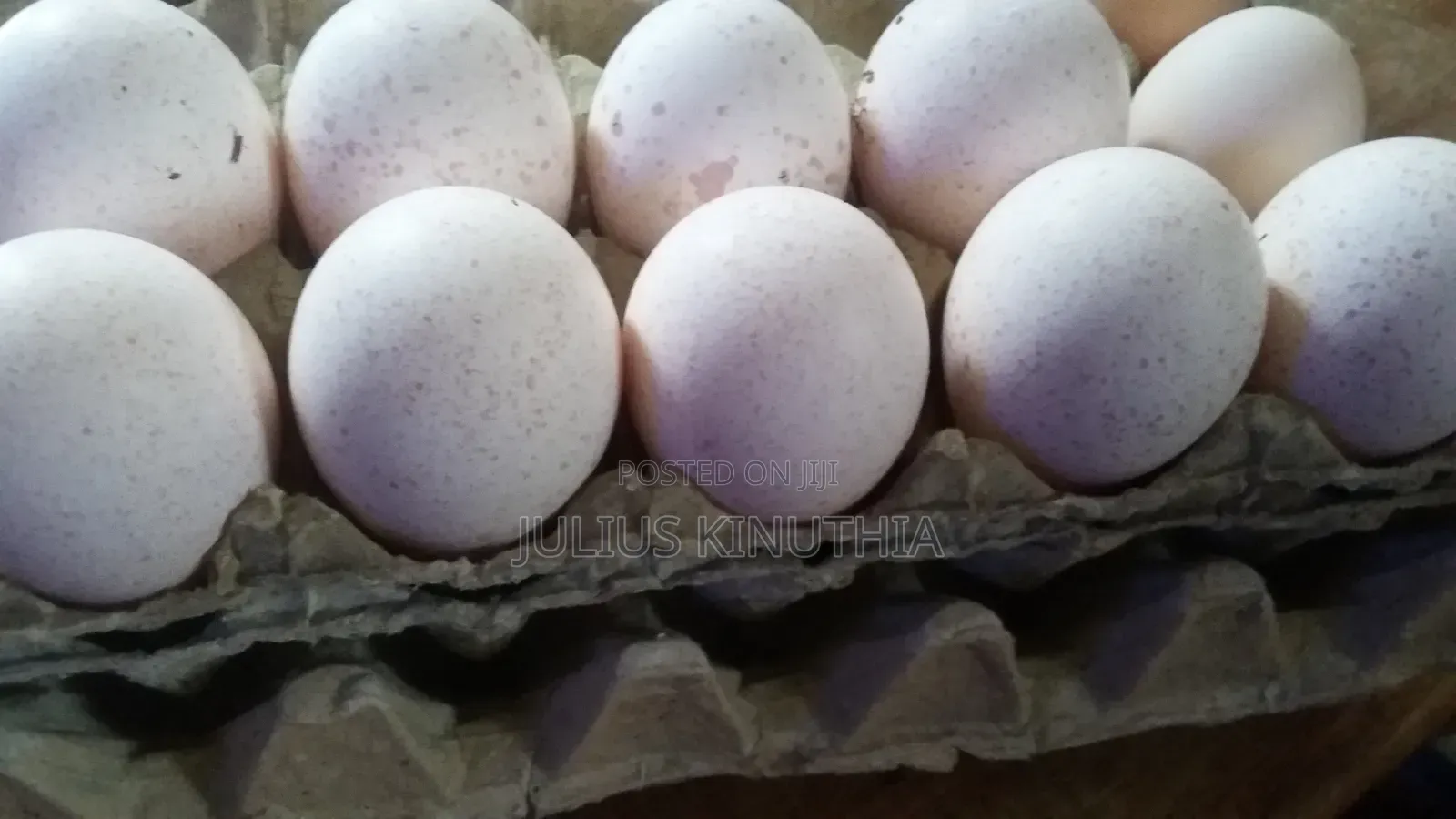 Poultry Farming