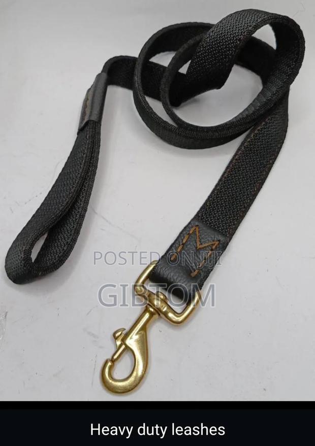 Heavy Duty Dog Leash - main view
