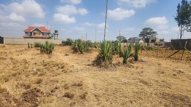 Offer Offer Jujafarm - thumbnail 3