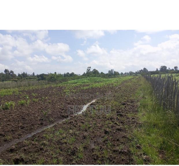 Three Acres in Moiben - main view