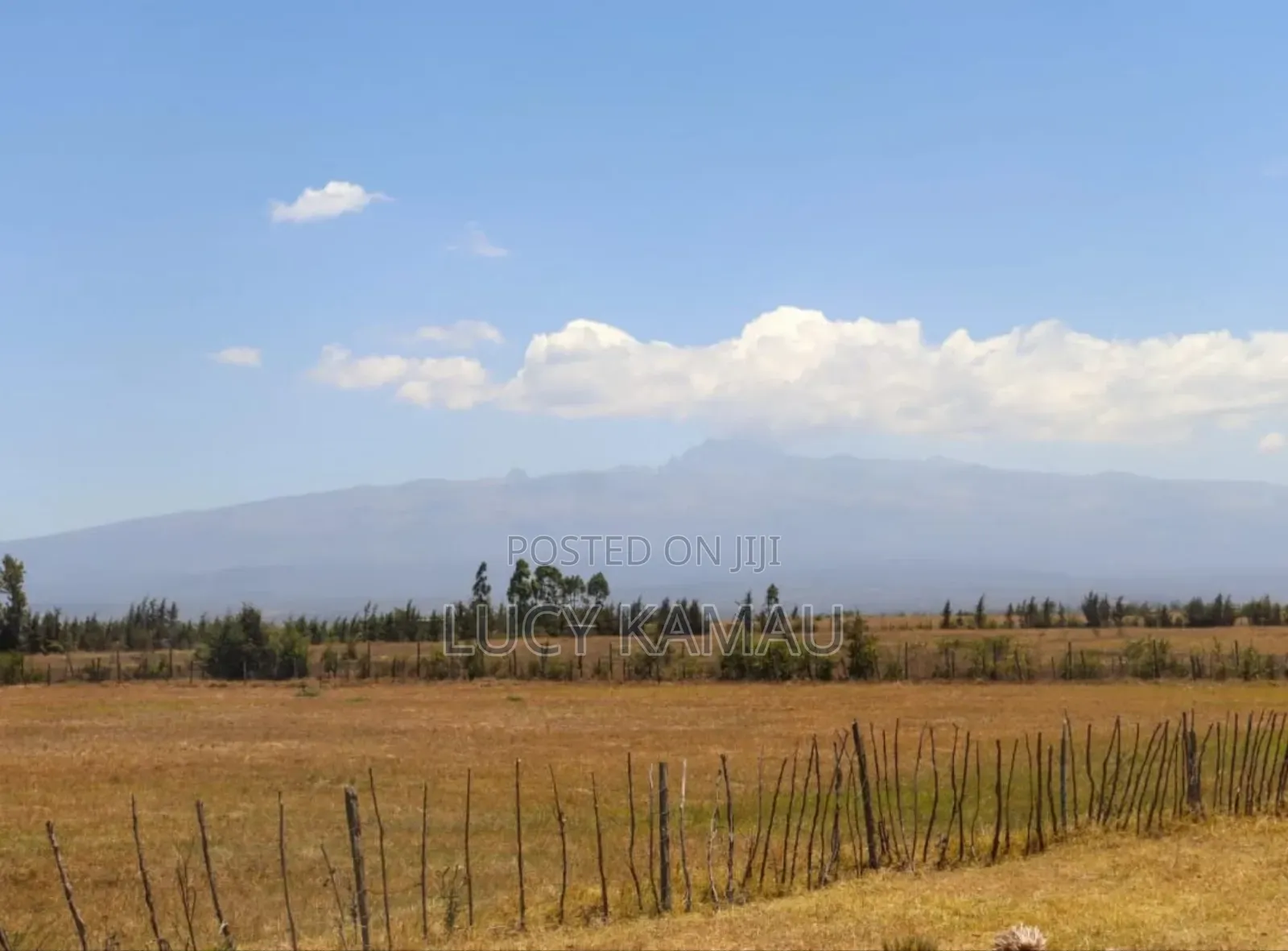 Prime 1⁄8acre Plots in Narumoru