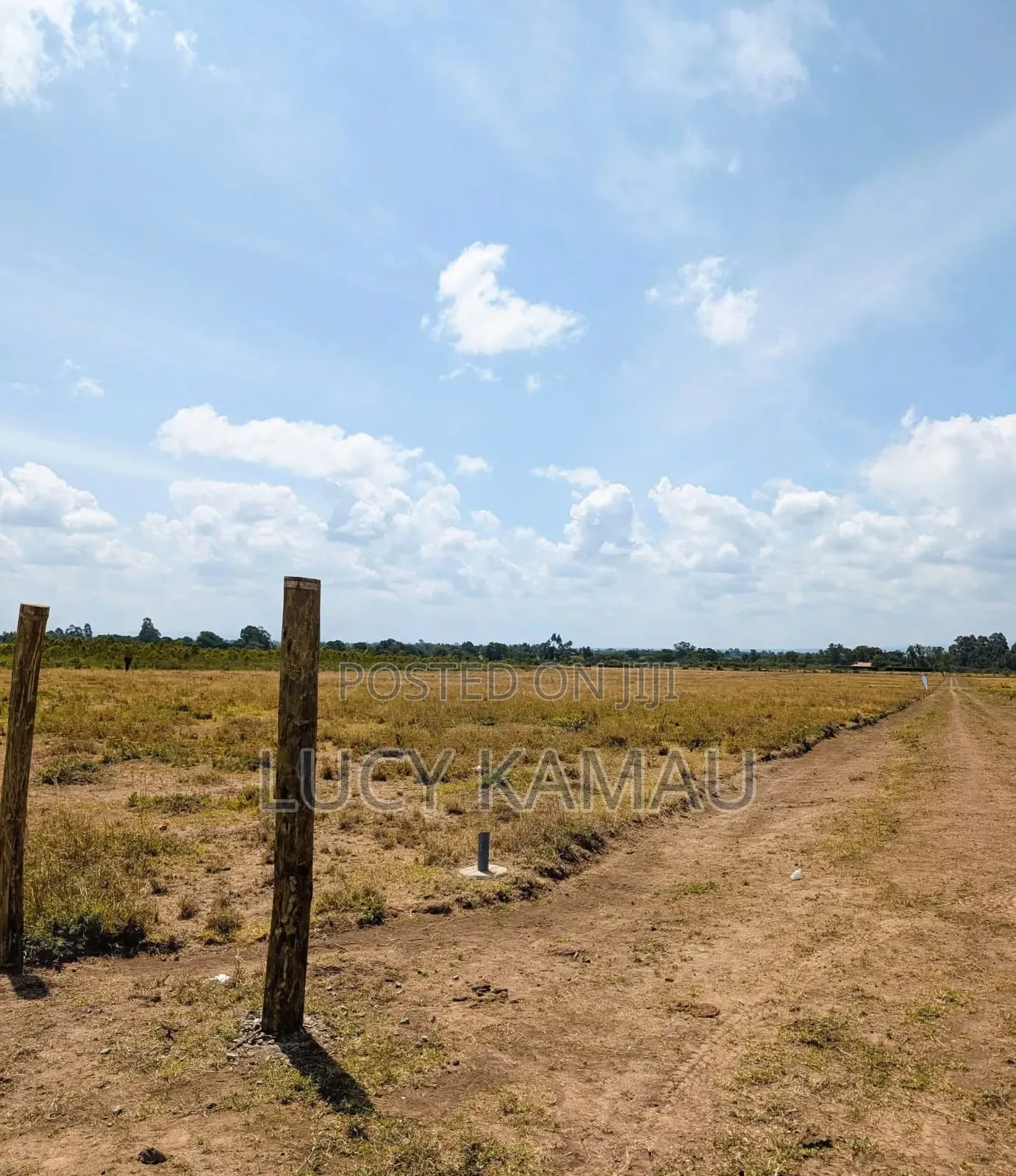 Prime 1⁄8acre Plots in Narumoru