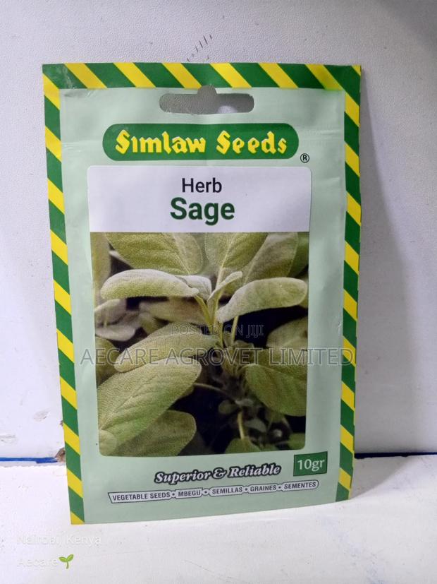 Sage Herb Seeds 10 Grams - thumbnail 2