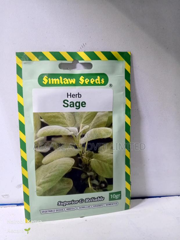 Sage Herb Seeds 10 Grams - thumbnail 4