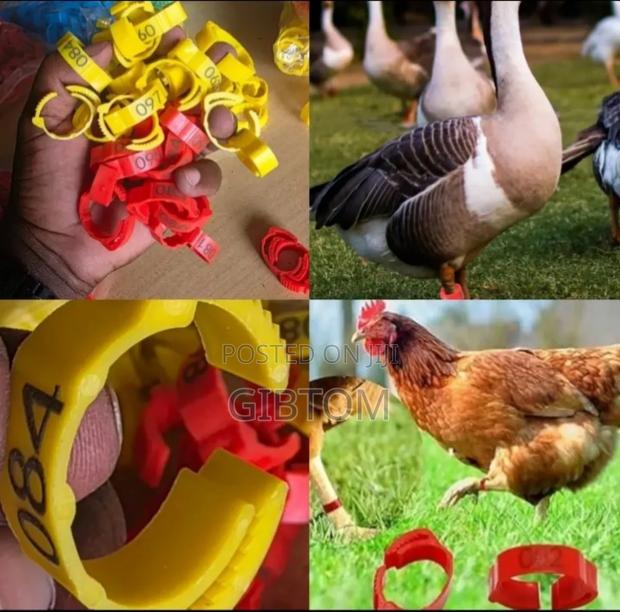 Poultry Leg Bands