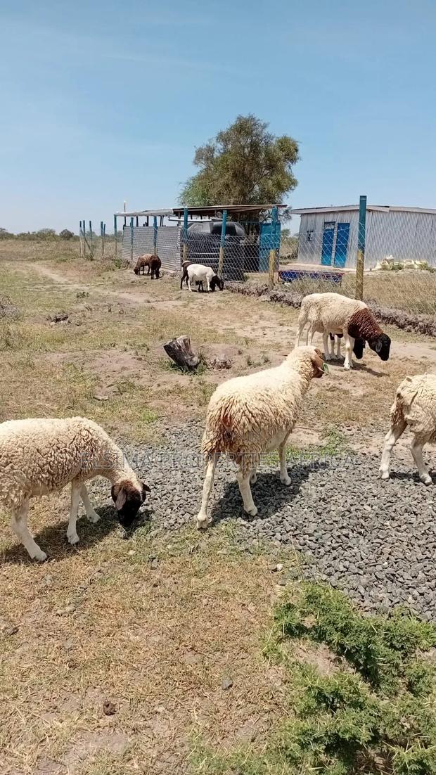 Plots At Kajiado - main view