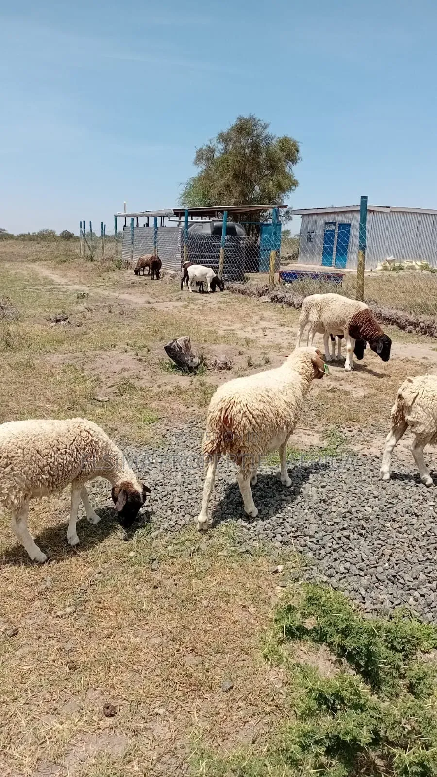 Plots at Kajiado Sajiloni