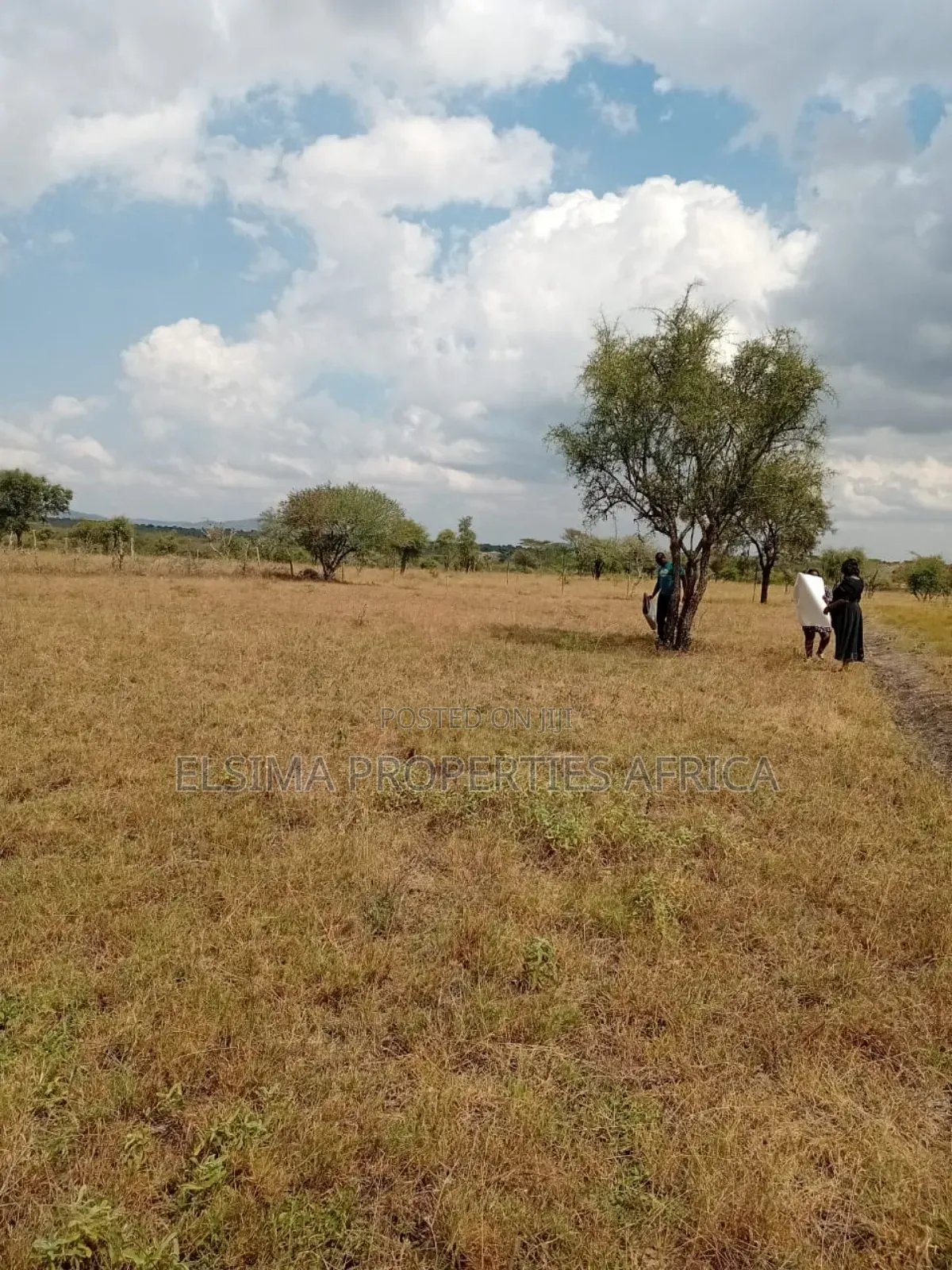 Plots at Kajiado Sajiloni