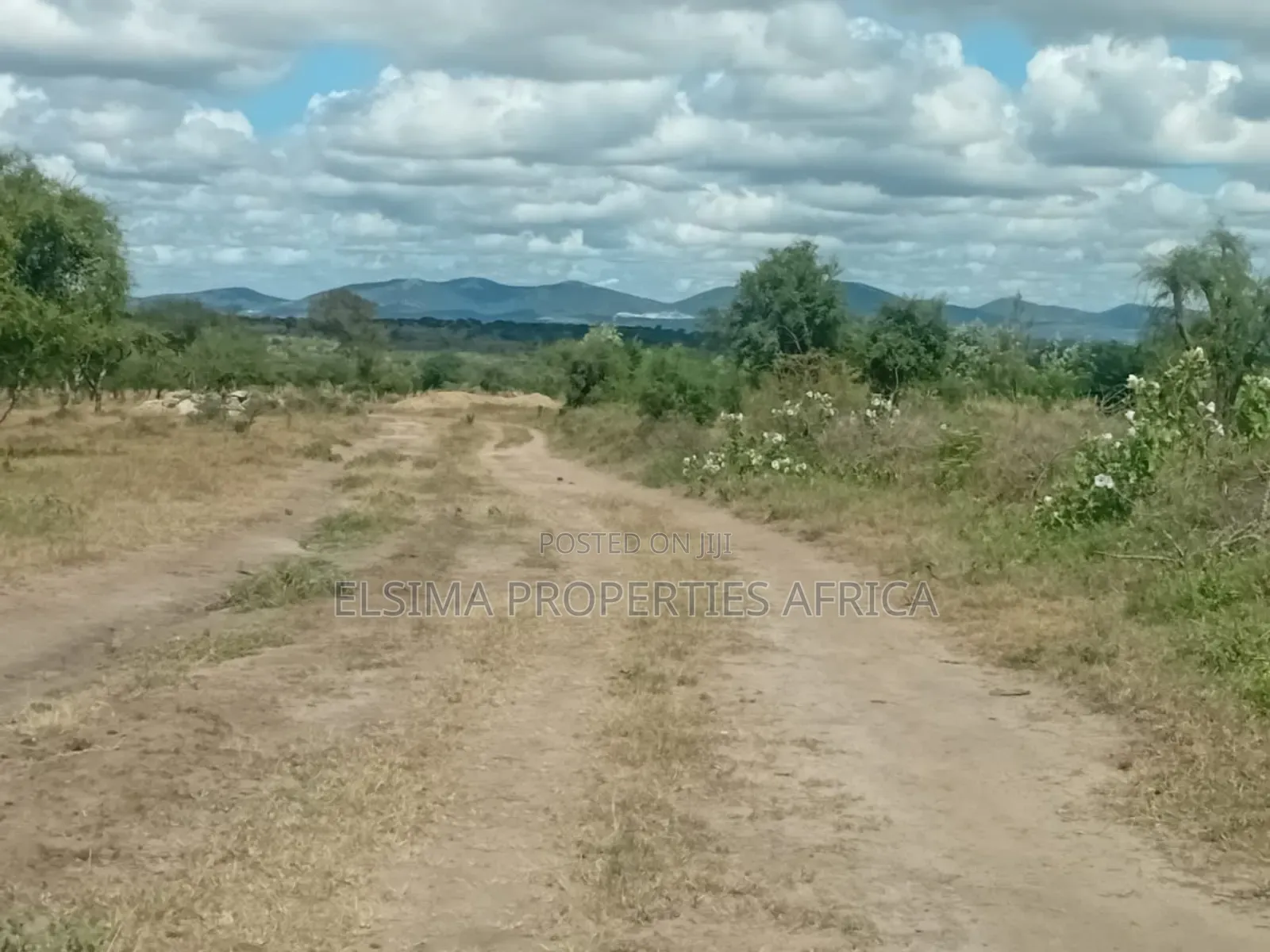 Plots at Kajiado Sajiloni