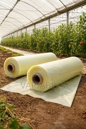 Greenhouse Polythene Creates a Stable Growing Environment Year-Round