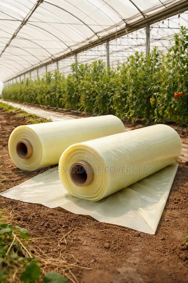Greenhouse Polythene Creates a Stable Growing Environment Year-Round - main view
