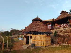 Professional Makuti Thatched Gazebo