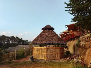 Professional Makuti Thatched Gazebo