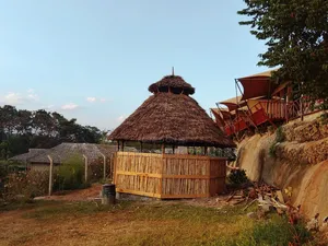Professional Makuti Thatched Gazebo