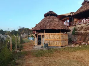 Professional Makuti Thatched Gazebo