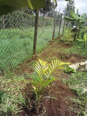 Quick Sale – Prime 50×100 Plot - thumbnail 2