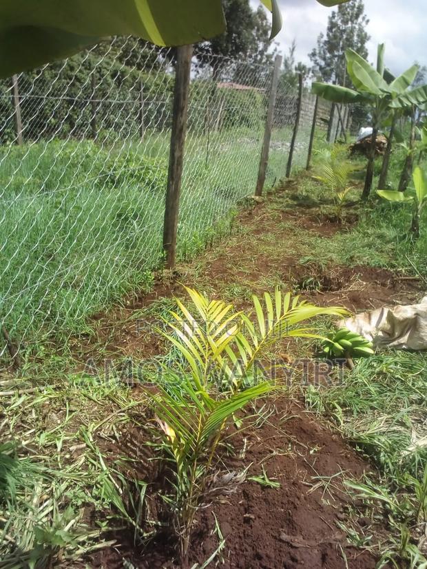 Quick Sale – Prime 50×100 Plot - main view