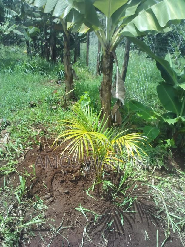 Quick Sale – Prime 50×100 Plot - thumbnail 3