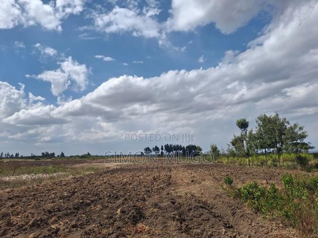 Nyahururu Gwakungu Manyatta 50x100 Plot Freehold Title - thumbnail 3