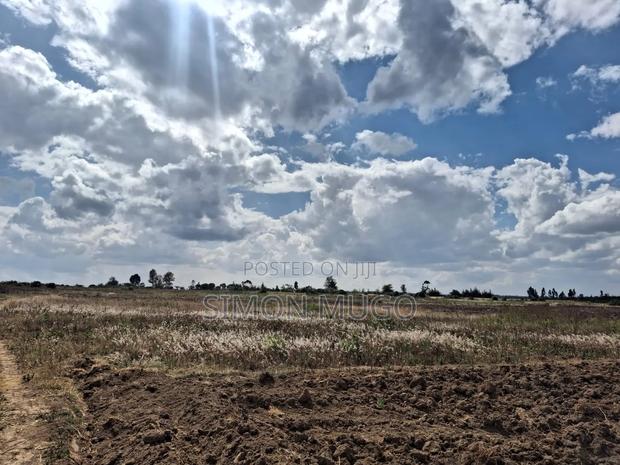 Nyahururu Gwakungu Manyatta 50x100 Plot Freehold Title - thumbnail 4